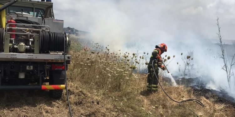 Un incendio sta attualmente interessando le campagne di Baunei, in località Osulai