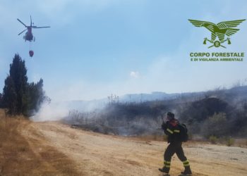 Incendio a Escolca, sul posto mezzi e uomini del Corpo forestale