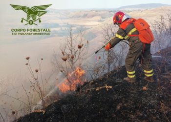 Incendio nelle campagne di Villasor, sul posto uomini e mezzi del Corpo forestale