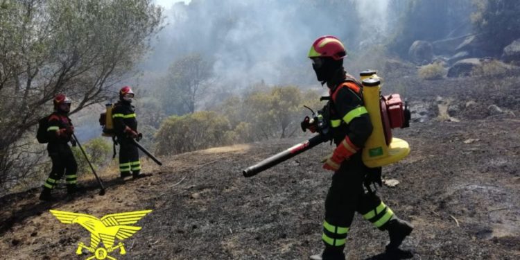 Incendio nelle campagne di Buddusò, in azione uomini e mezzi del Corpo forestale