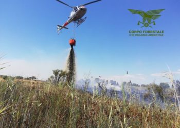 Incendio a San Sperate, sul posto la Forestale