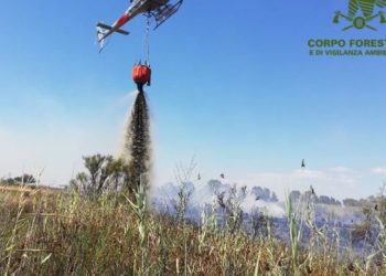 Incendio nelle campagne di Arzana, sul posto uomini e mezzi del Corpo forestale