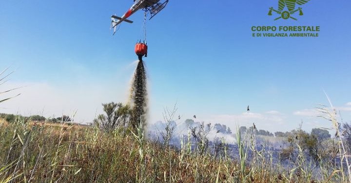 Incendio a San Sperate, sul posto la Forestale