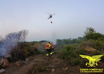 Fiamme nelle campagne di Castelsardo, sul posto la Forestale