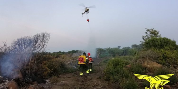 Fiamme nelle campagne di Castelsardo, sul posto la Forestale
