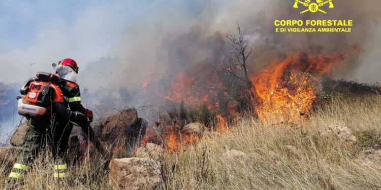Incendio nelle campagne di Sassari, sul posto un elicottero della base di Bosa ed il Corpo forestale di Alghero