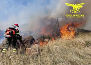 Oggi in Sardegna sono stati segnalati 23 incendi, 4 hanno richiesto l’intervento del mezzo aereo del Corpo forestale