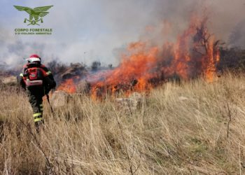 Incendio nelle campagne di Posada, sul posto uomini e mezzi del Corpo forestale