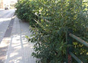 Manlio Mesina (Fdi Audax e Spazio Identitario Domus Turritana): «Ripristinare sicurezza e decoro in viale Sicilia»