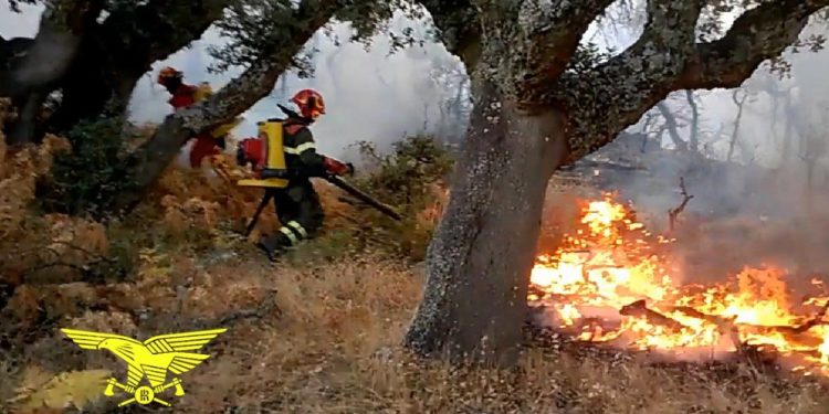 Incendio nelle campagne di Tempio Pausania, sul posto uomini e mezzi della Forestale