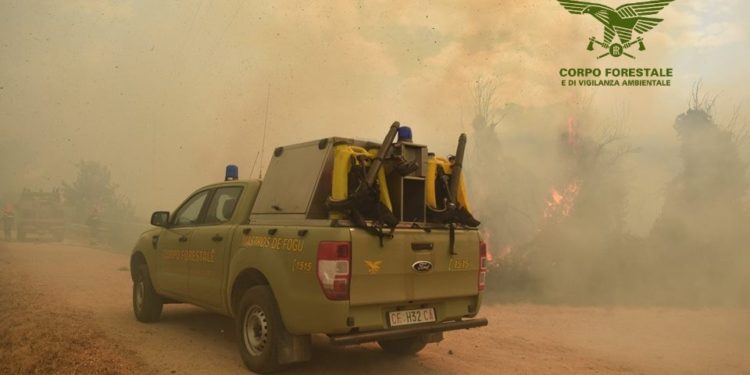 Incendio nelle campagne di Mores, sul posto mezzi e uomini della Forestale