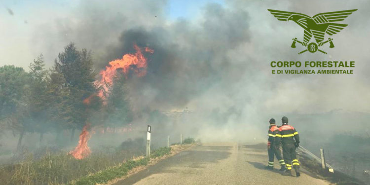 Oggi, su un totale di 22 incendi sviluppatisi in Sardegna, 3 hanno richiesto l’intervento del mezzo aereo del Corpo forestale