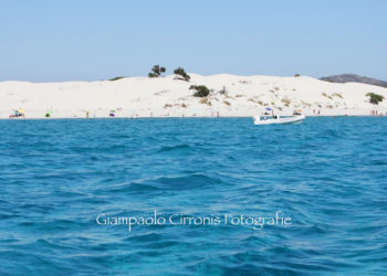 Come ogni anno l’8 luglio è la giornata internazionale del mare