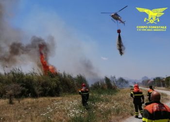 Un elicottero del Corpo forestale della base di Limbara sta intervenendo su un incendio nelle campagne di Perfugas
