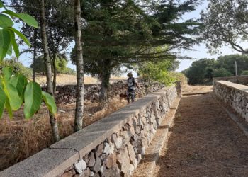 Villanova Monteleone: ripulite diverse aree verdi del paese