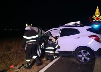 i Vigili del Fuoco hanno recuperato un cagnolino finito nei cunicoli sotterranei per lo scolo delle acque