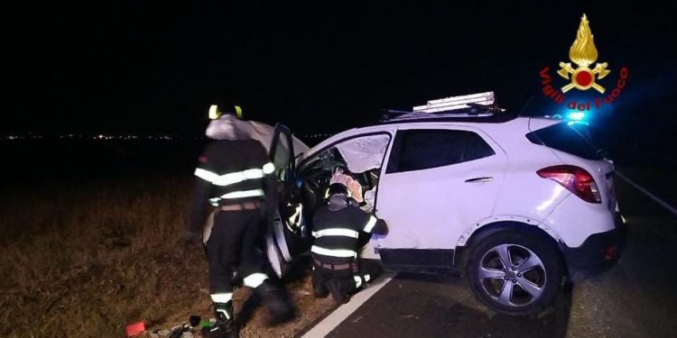 i Vigili del Fuoco hanno recuperato un cagnolino finito nei cunicoli sotterranei per lo scolo delle acque