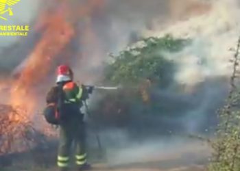 Fiamme nelle campagne di Fonni, in azione la Forestale