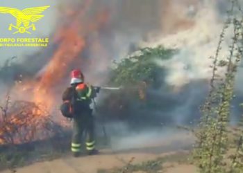 Incendio nelle campagne di Aglientu, sul posto la Forestale