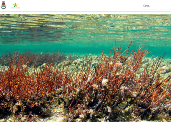 Cabras: ecco il progetto “Campuseu”