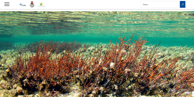 Cabras: ecco il progetto “Campuseu”