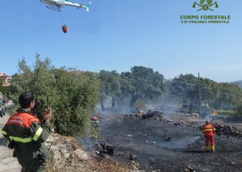 Incendio nelle campagne di Masullas, sul posto uomini e mezzi del Corpo forestale