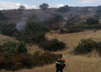 Incendio a Goni, in azione uomini e mezzi del Corpo forestale