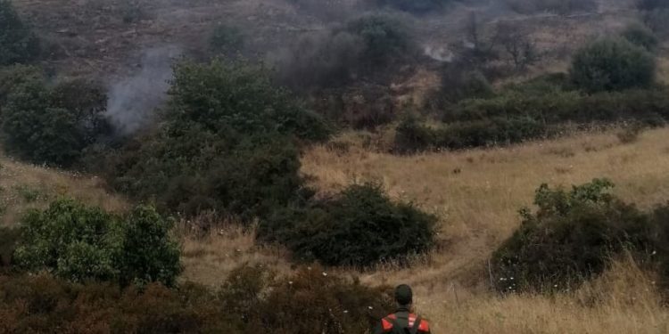 Fiamme nelle campagne di Oniferi, sul posto un elicottero della base di Farcana ed il Corpo forestale di Orani