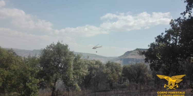 Incendi a Ussana e Dolianova, sul posto la Forestale
