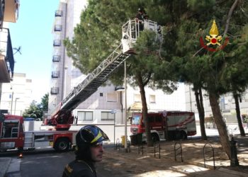 Grossi rami di un albero si spezzano in un area del centro abitato, a Quartu, i vigili del fuoco sul posto per la messa in sicurezza