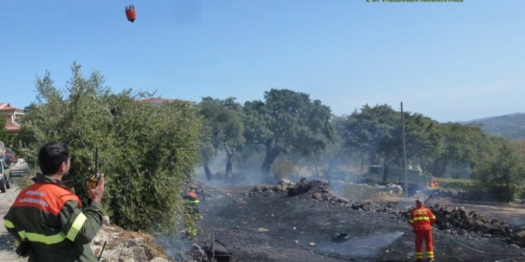 Incendio a Sedilo, sul posto la Forestale