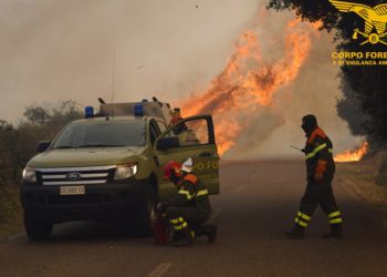 Oggi in Sardegna sono stati segnalati 23 incendi, 4 hanno richiesto l’intervento del mezzo aereo del Corpo forestale