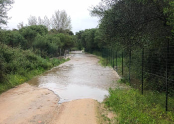 Palau: firmati gli atti per la presa in carico di un tratto della strada “Lu Multiccioni – Li Tauladori – Cantoniera Surrau”