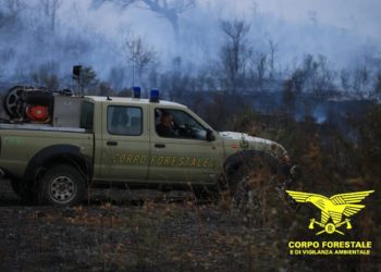 Incendi a Irgoli, Budoni e Mandas: sul posto il Corpo forestale