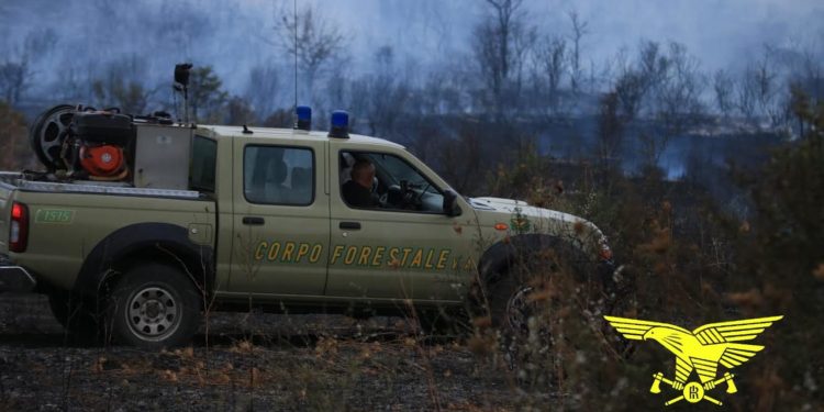 Incendi a Irgoli, Budoni e Mandas: sul posto il Corpo forestale