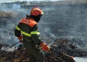 Oggi, solo 2 dei 13 incendi sviluppatisi sul territorio regionale, hanno richiesto l’intervento del mezzo aereo del Corpo forestale