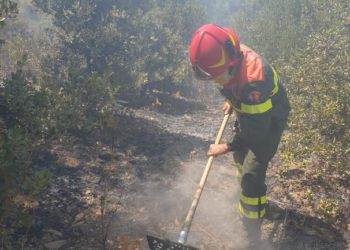 Bottida: il Corpo forestale ha predisposto un servizio notturno per il monitoraggio e bonifica dell’area percorsa dall’incendio