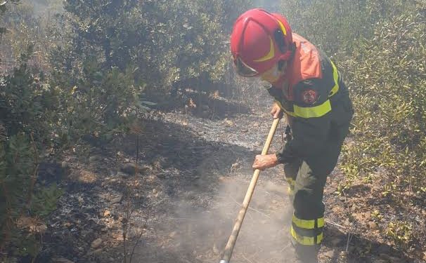 Bottida: il Corpo forestale ha predisposto un servizio notturno per il monitoraggio e bonifica dell’area percorsa dall’incendio