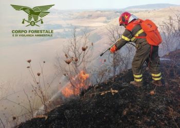 Sono stati 20 gli incendi segnalati oggi in Sardegna, 9 hanno richiesto l’intervento del mezzo aereo del Corpo forestale