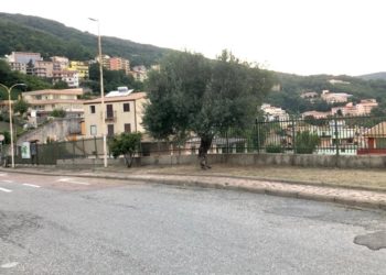 Lanusei: sarà “La Rondine” a curare il servizio di manutenzione e gestione del verde urbano