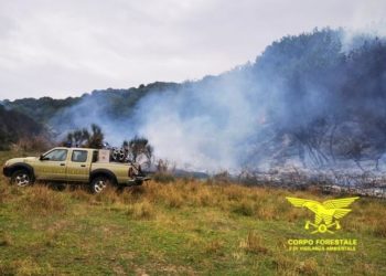 Incendio nelle campagne di Teti, sul posto un elicottero del Corpo forestale della base di Sorgono