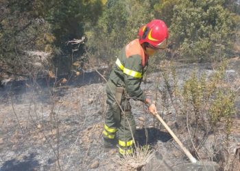 Alle ore 18 e 45, su un totale di 12 incendi sviluppatisi in Sardegna, 5 avevano richiesto l’intervento del mezzo aereo del Corpo forestale