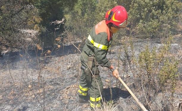 Alle ore 18 e 45, su un totale di 12 incendi sviluppatisi in Sardegna, 5 avevano richiesto l’intervento del mezzo aereo del Corpo forestale