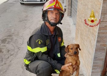 Iglesias: a fuoco un appartamento, i vigili del fuoco salvano un cane ed alcuni gatti