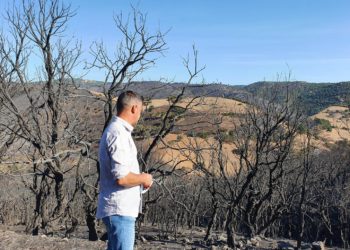 Incendio a Mandas: domani il sopralluogo dell’assessore regionale dell’Ambiente, Gianni Lampis