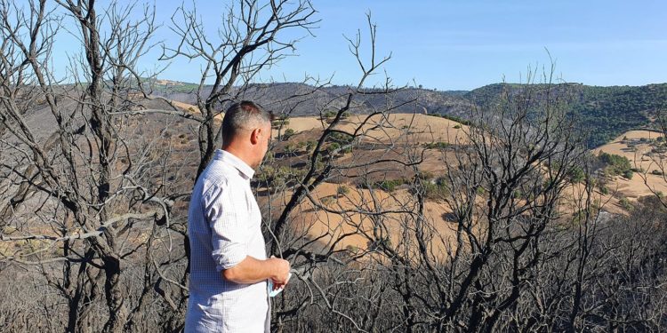 Incendio a Mandas: domani il sopralluogo dell’assessore regionale dell’Ambiente, Gianni Lampis