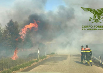 Incendi nelle campagne di Sarule e Orgosolo, sul posto uomini e mezzi del Corpo forestale