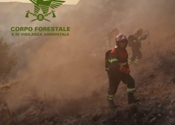 La settimana inizia con incendi a Burgos, Nuoro, Irgoli e Orune: sul posto elicotteri e Canadair