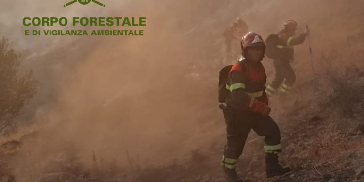 Incendio nelle campagne tra Siniscola e Posada, sul posto uomini e mezzi del Corpo forestale