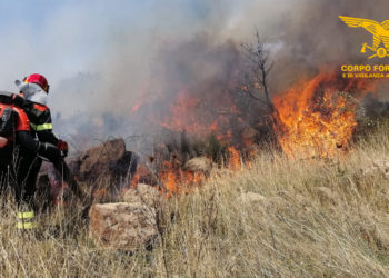 Operazione “Fogu e trigu”: due persone agli arresti domiciliari per incendio boschivo doloso
